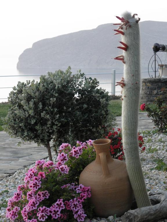 Villa Tholos Crete Kavoúsion Exterior foto